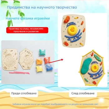 Учебен комплект: модели на растителна и животинска клетка, дървен материал, подходящ за DIY, неелектрически, за ученици 7–14