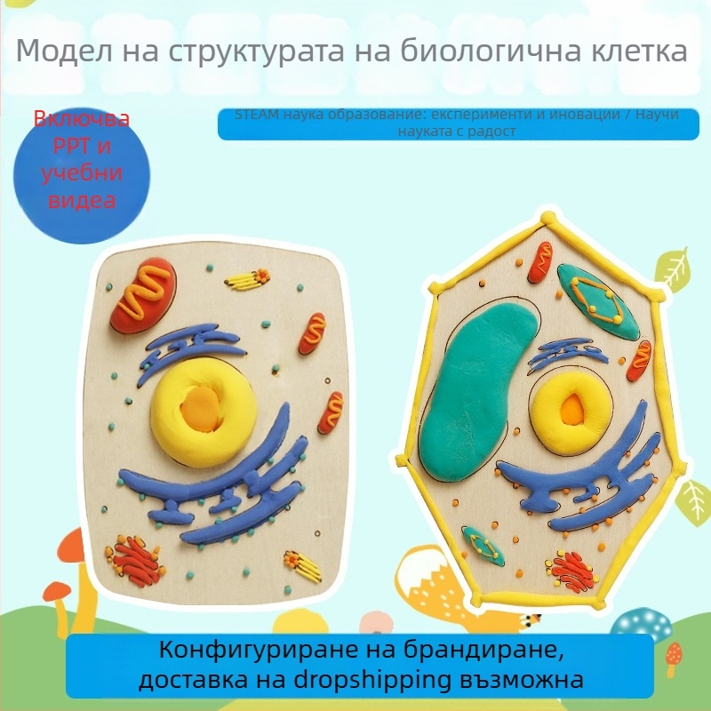 Учебен комплект: модели на растителна и животинска клетка, дървен материал, подходящ за DIY, неелектрически, за ученици 7–14