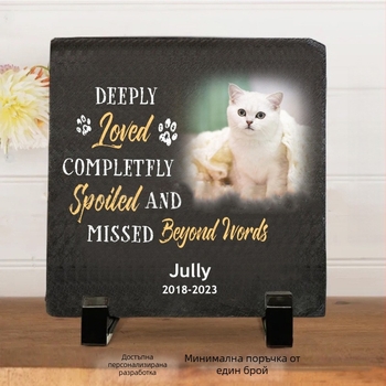 Сърцевиден камънен сувенир за спомен от рождения ден на домашния любимец, персонализиран печат