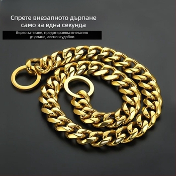 Златист нашийник с P-образна верига за кучета, 304 неръждаема стомана, регулируем, за малки, средни и големи породи