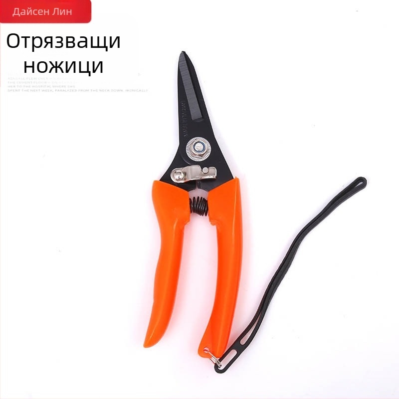 Градински ножици за подрязване – Dasenlin HY-01-2 – Многофункционални ножици за плодни клонки