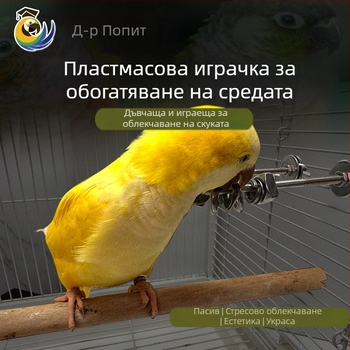 папагайска дъвкателна играчка за облекчаване на стреса, неръждаема стомана, висулка за клетка, интерактивна (Произход: Wenzhou; Внос: Не)