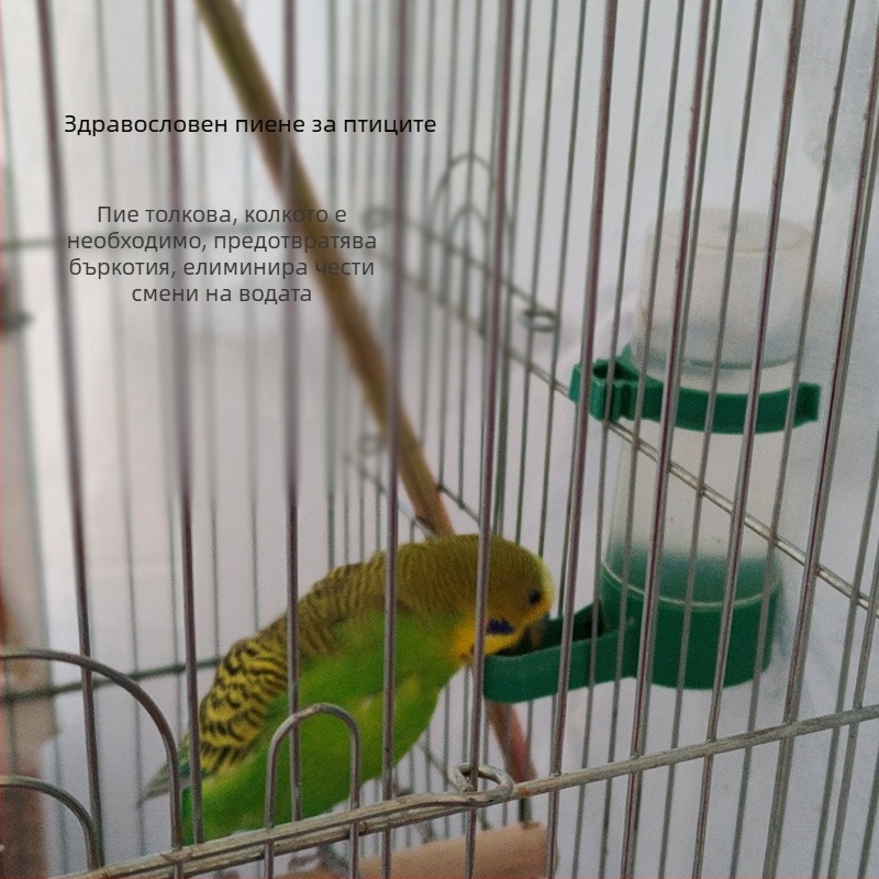 Автоматичен дозатор за вода за птици и папагали – антиразпръскващ дизайн, пластмасов, не е внос