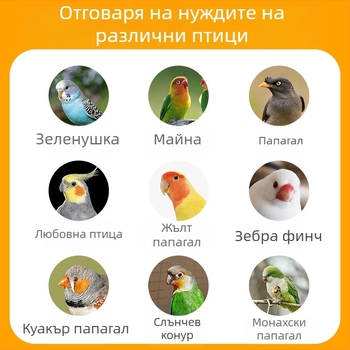 Птична купалня за папагали и малки птици – мотив тигрова кожа и пион, стил Черна феникс