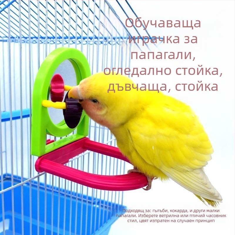 Клетъчна играчка за птици за самостоятелно забавление и дъвчене – пластмасова огледална играчка за папагали, Pro-pet, произход Шандонг