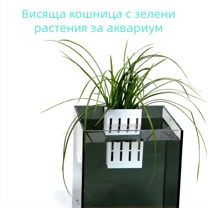 Пластмасова аквариумна висяща чашка за растения с дишащ дизайн, плантер с вендуза за водни треви, тегло 86.5 g, Гуандун Чжуншан
