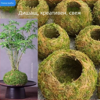 Саксия с мъхова топка и мини ландшафт за орхидеи, подова стойка, пасторалeн стил за домашно градинарство