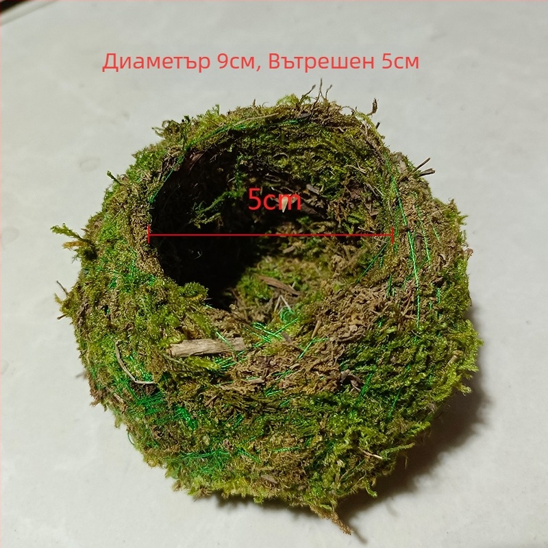 Саксия с мъхова топка и мини ландшафт за орхидеи, подова стойка, пасторалeн стил за домашно градинарство