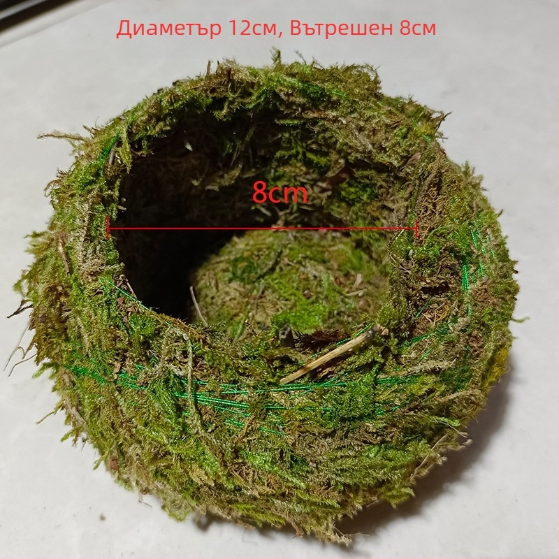 Саксия с мъхова топка и мини ландшафт за орхидеи, подова стойка, пасторалeн стил за домашно градинарство