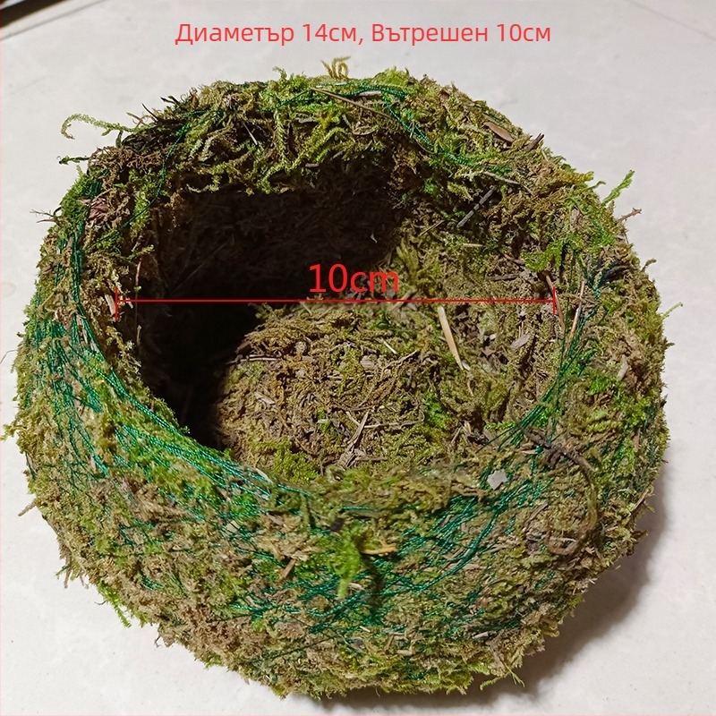 Саксия с мъхова топка и мини ландшафт за орхидеи, подова стойка, пасторалeн стил за домашно градинарство