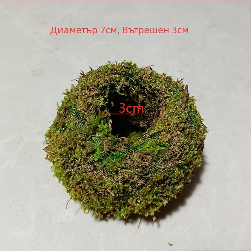 Саксия с мъхова топка и мини ландшафт за орхидеи, подова стойка, пасторалeн стил за домашно градинарство