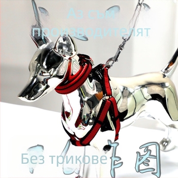 Кучешка каишка от желязна верига, устойчива на ухапвания, регулирана с автоматична катарама