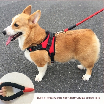 Шлейка за кучета от найлон, стил жилетка, Teddy, French Bulldog и Corgi