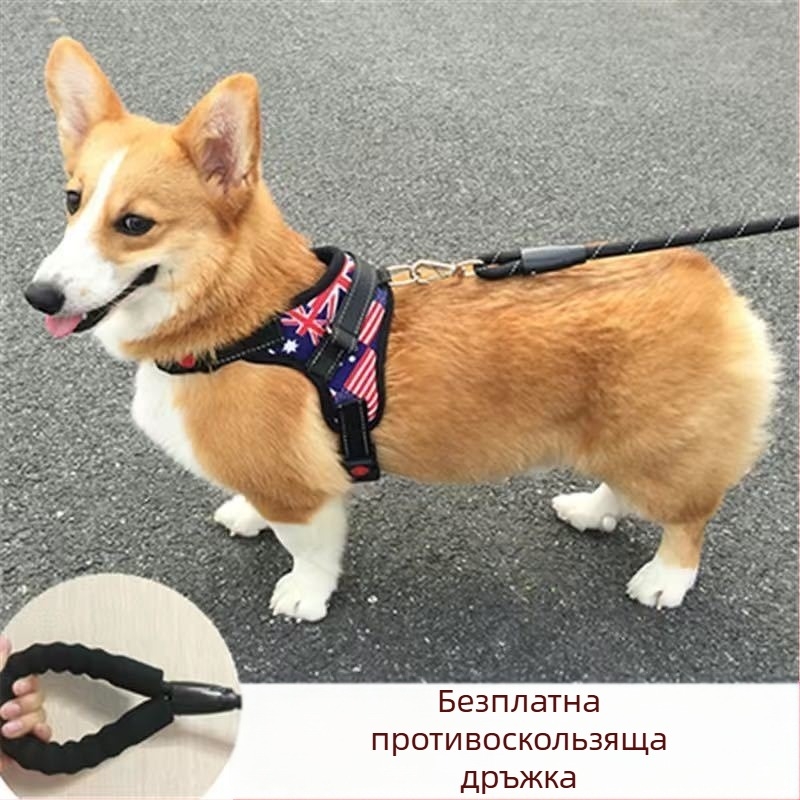 Шлейка за кучета от найлон, стил жилетка, Teddy, French Bulldog и Corgi
