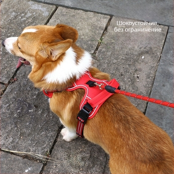 Гръден колан за кучета с отразяващ дизайн, плат, произход Zhejiang, опаковка 100