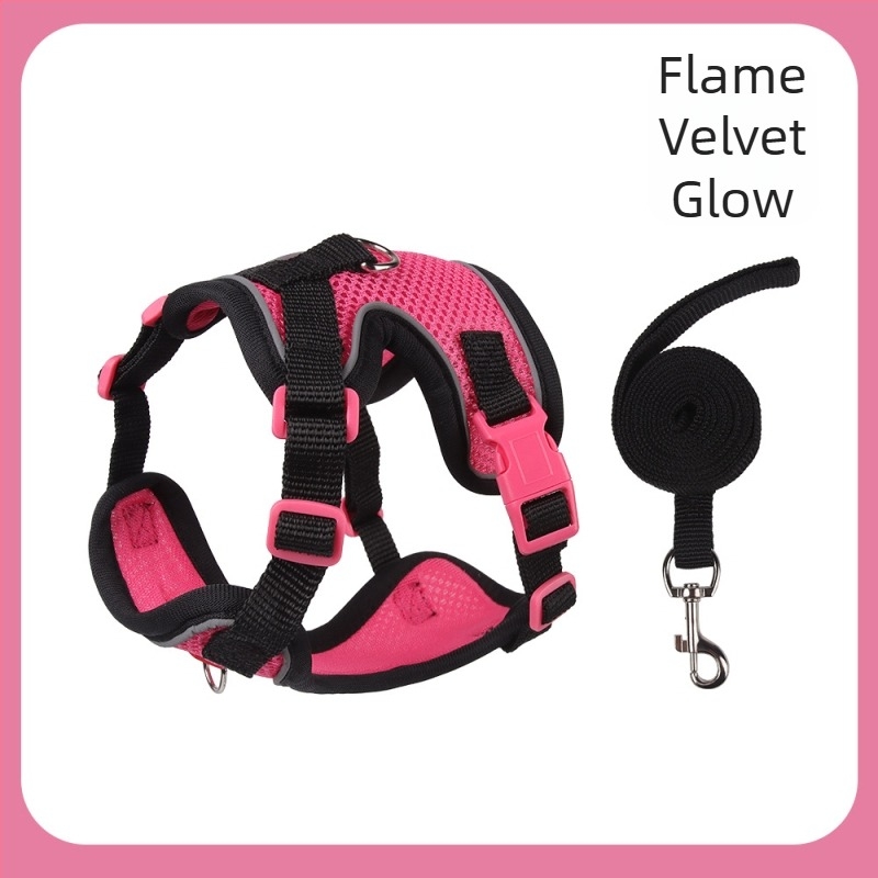 Belu гръден ремък за домашни любимци – полиестер, регулируем, за котки, кутия с 240 бр.