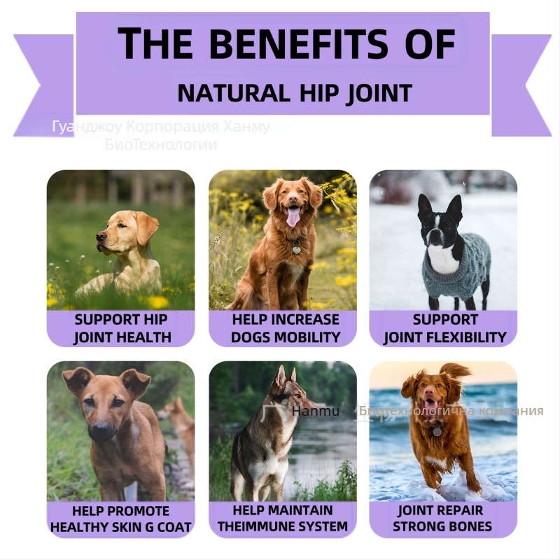 Таблетки за стави и тазобедрени кучета за дъвчене – Angel Paws, 50 таблетки в кутия, 300 g, FDA COA GMP ISO9001 HACCP