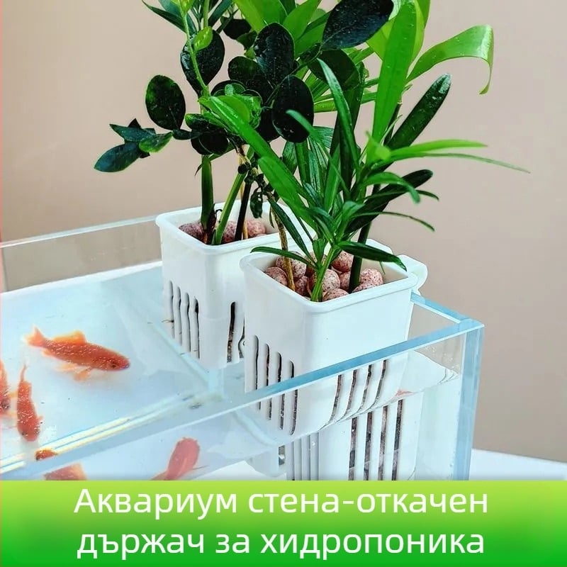 Стенно монтирана хидропонна чашка за водни растения с куха кошница за засаждане (произход: Шандонг)