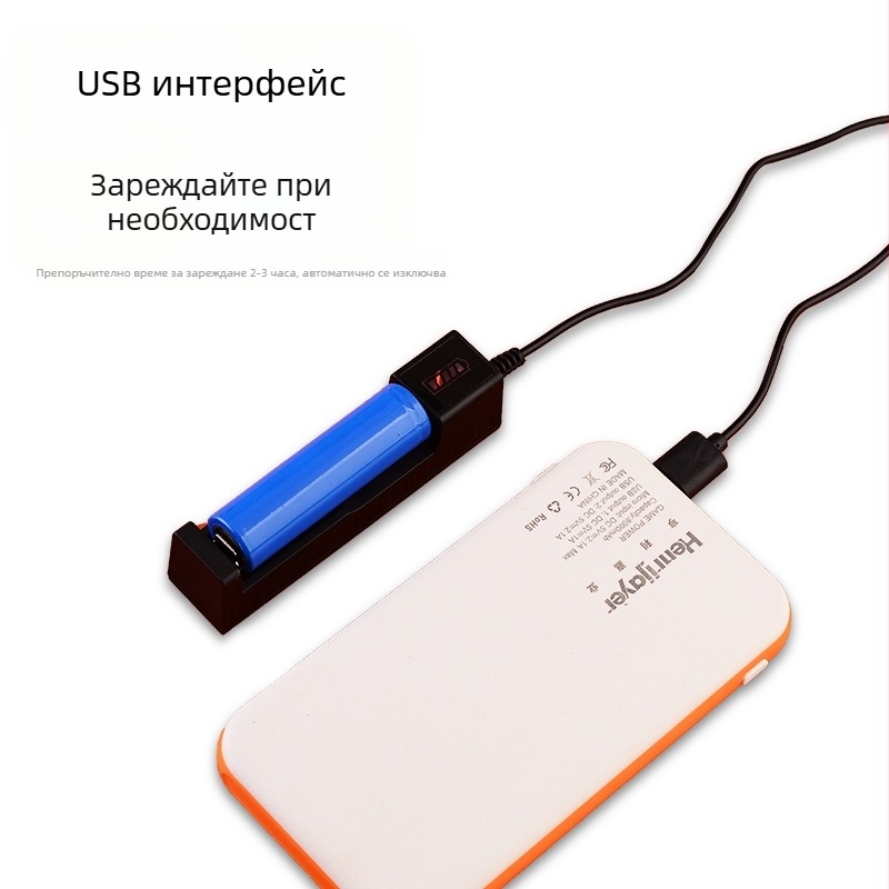Renlong Electronics USB зарядно за литиеви батерии 18650/14500, едно гнездо, 4.2V 1A, CE сертифицирано