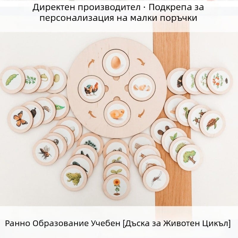 Montessori Life Cycle Tray Game – дървена образователна игра за ранно образование, мултифункционална (Материал: дърво; Възраст: 3–6 години; Обработване: персонализирани изображения)