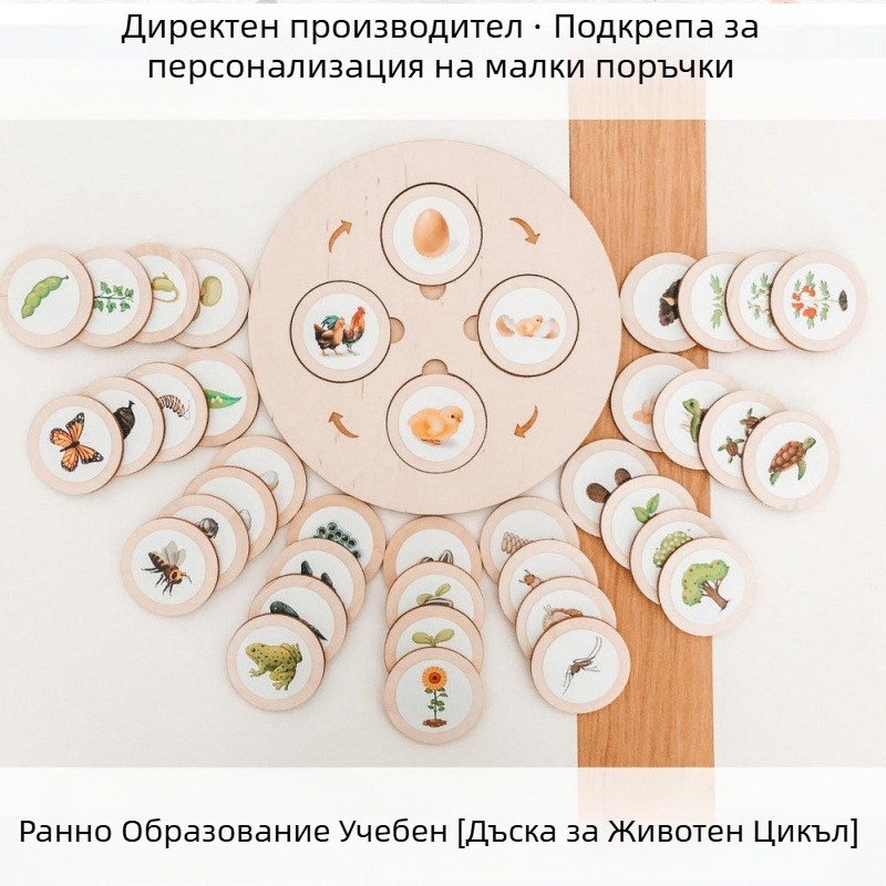 Montessori Life Cycle Tray Game – дървена образователна игра за ранно образование, мултифункционална (Материал: дърво; Възраст: 3–6 години; Обработване: персонализирани изображения)