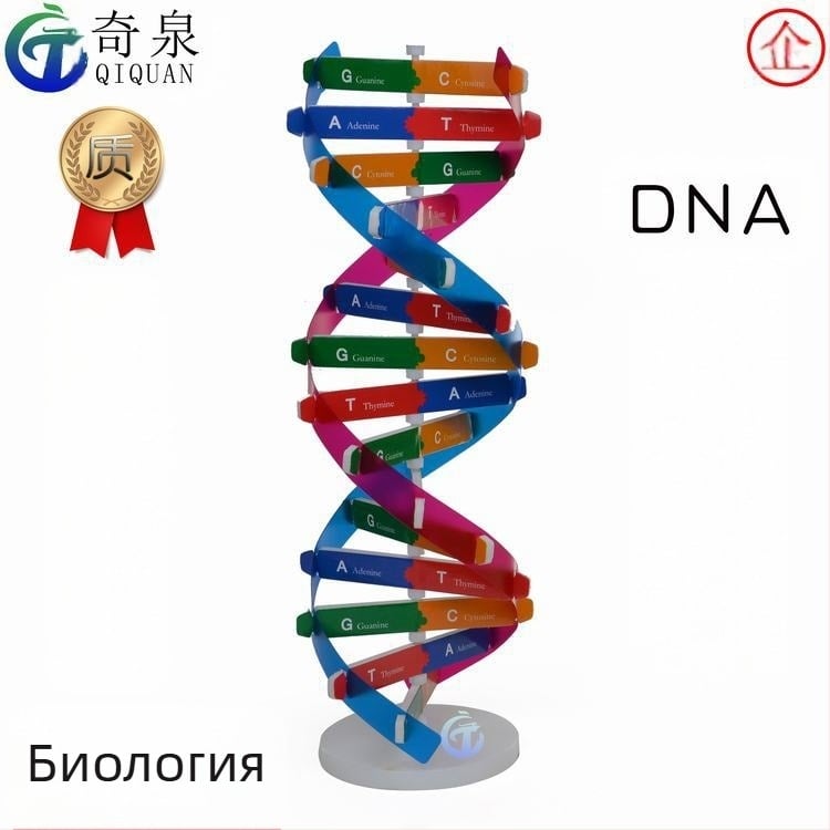 DNA двойна спирала образователен модел — ABS материал, DIY биологичен комплект, за възраст 7–14, марка Qiquan