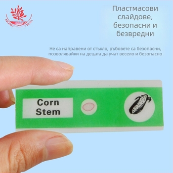 Mangrove PVC биологични образци, набор от 12 за микроскопски слайдове, материал PVC, спецификации 48