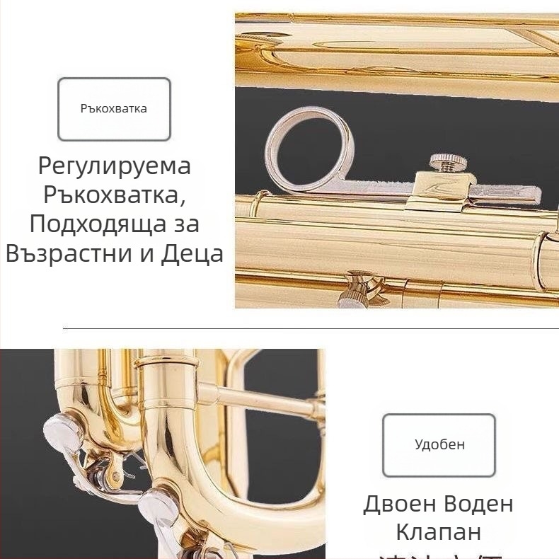 JBTR-300 Down-B Труба, позлатена, за начинаещи - меден духов инструмент за училищен духов оркестър