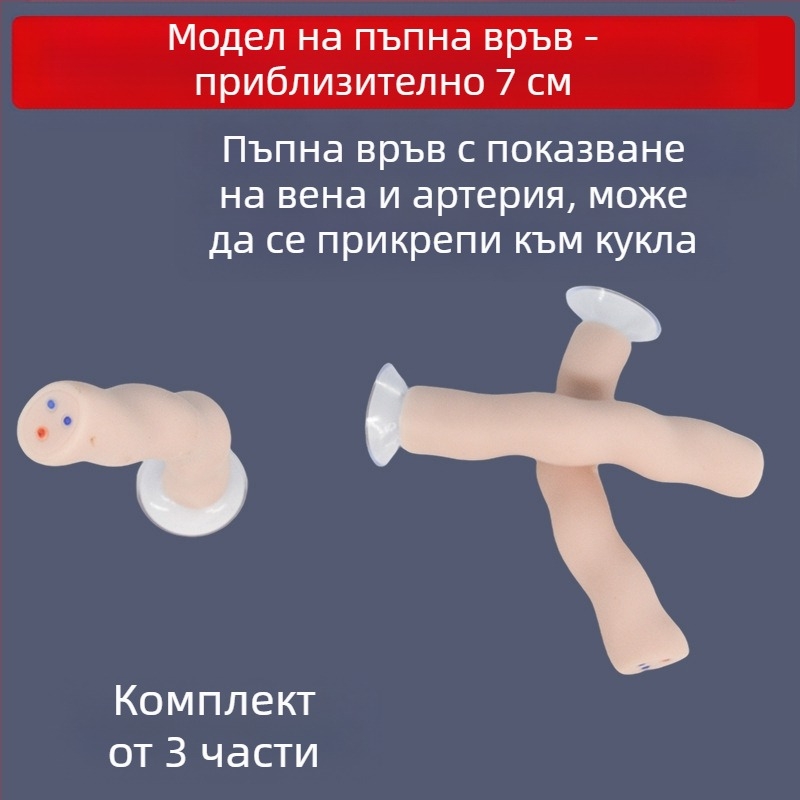 Модел на новородена пъпна връв и плацента с дисплей на венозни и артериални съдове, свързва се с кукла за обучителни цели, подходящ за лица над 14 години