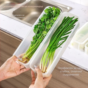 Кутия за свежест в хладилник, запечатана, произход Zhejiang, материал: Друг