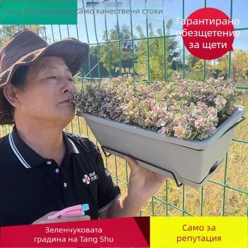 Hollen балконска саксия за зеленчуци за домашна градина – правоъглена саксия за растения с комплект за закачане
