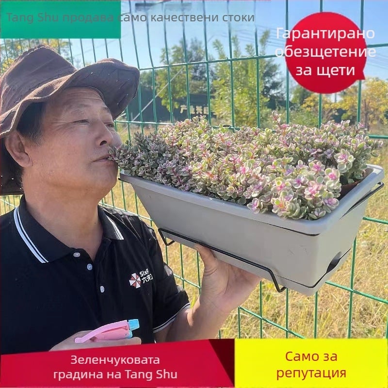 Hollen балконска саксия за зеленчуци за домашна градина – правоъглена саксия за растения с комплект за закачане