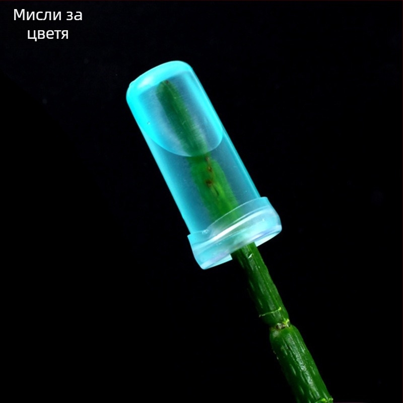 Опаковъчни материали за букет - пластмасов материал, полу-машинна обработка, 40 опаковки в лот, Thoughts марка