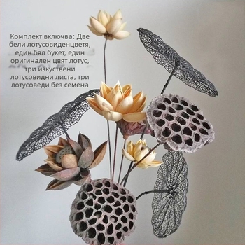 Зен-стил букет сушени цветя за дневна стая – смесени елементи с лотос и шишарки (Variety: Lily; Material: Other; Craft: Other; Gift: No)