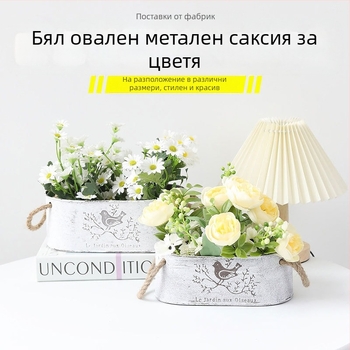 Метална саксия за цветя с птичи мотив, винтидж въжен държач за сукуленти и зелени растения, пасторален стил
