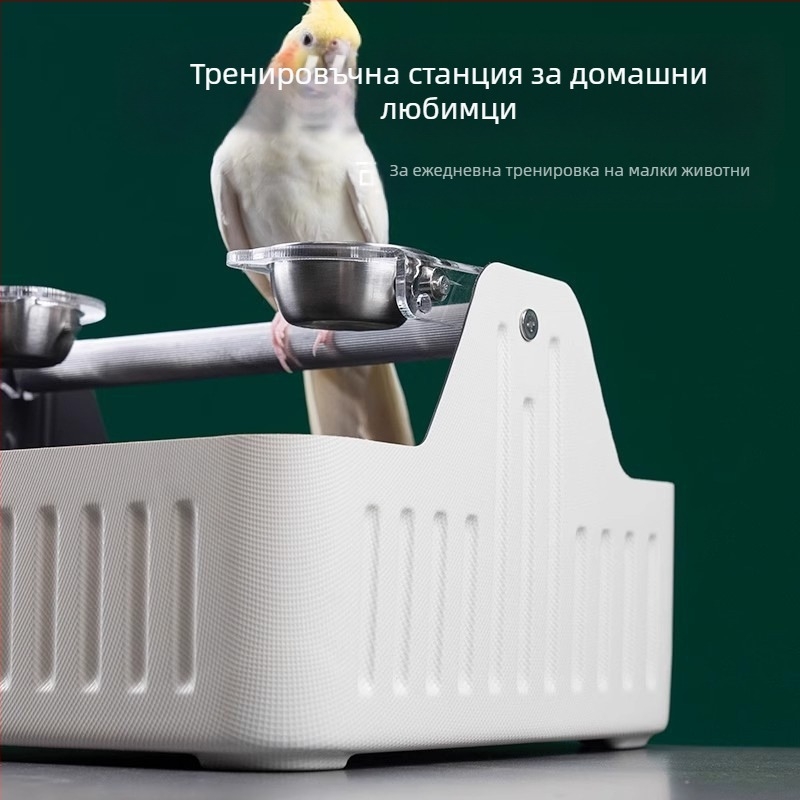 Папагал настолен тренировъчен тоалетен съд (WP01) - възрастен, средно тяло, птица