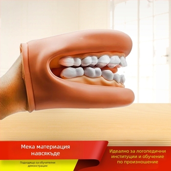 Дентален обучителен модел на устната кухина – инструмент за стоматологично образование за деца, демонстрация на миене на зъби (№ 1001188344; Категория: Other; Функция: Other; Материал: Other)