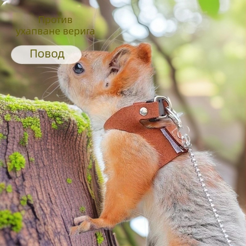 Rabbit and Squirrel Leash Set with Floral Branch and Anti-Bite Harness, Chest-and-Back Anti-Choke