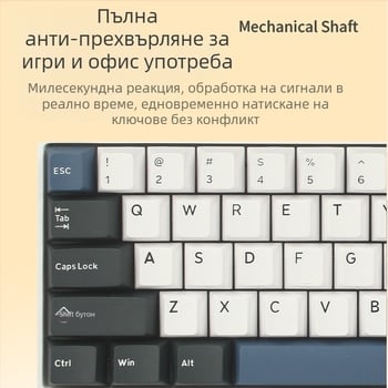 Механична клавиатура, 99 клавиши, USB-C и Bluetooth 2.4G, RGB подсветка, водоустойчива, дизайн с двойни крила
