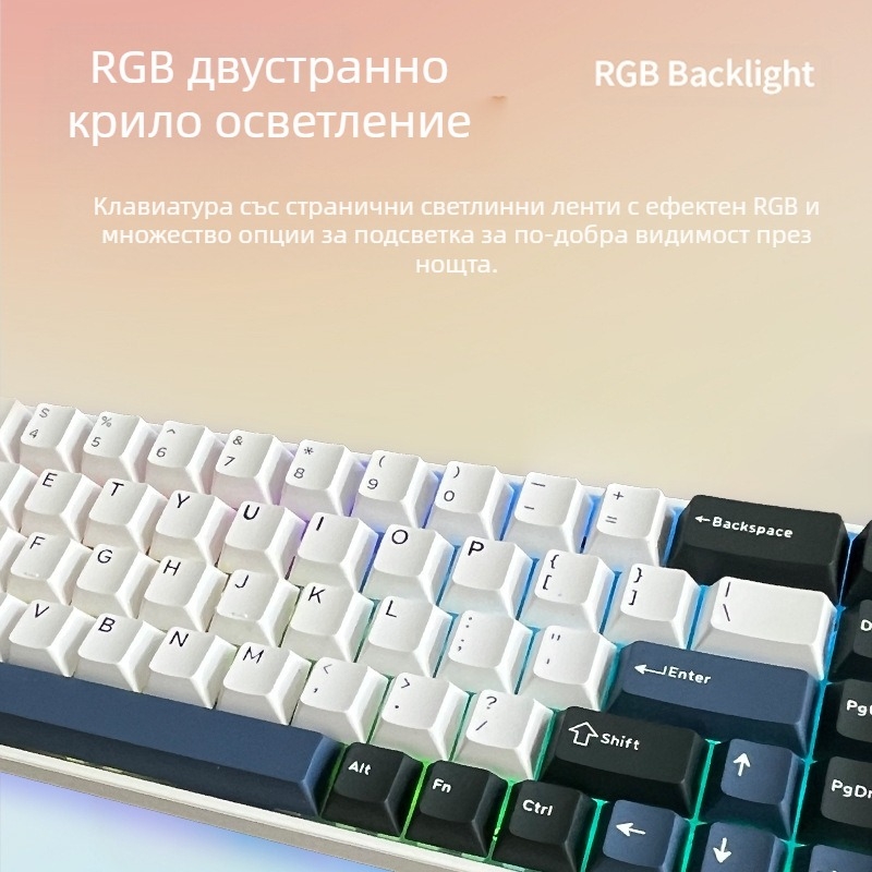 Механична клавиатура, 99 клавиши, USB-C и Bluetooth 2.4G, RGB подсветка, водоустойчива, дизайн с двойни крила