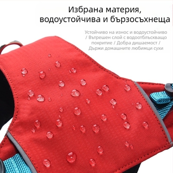 Комплект каишка и нагръдник за кучета - лек, дишащ, неразтегателен, за малки кучета, за разходки навън