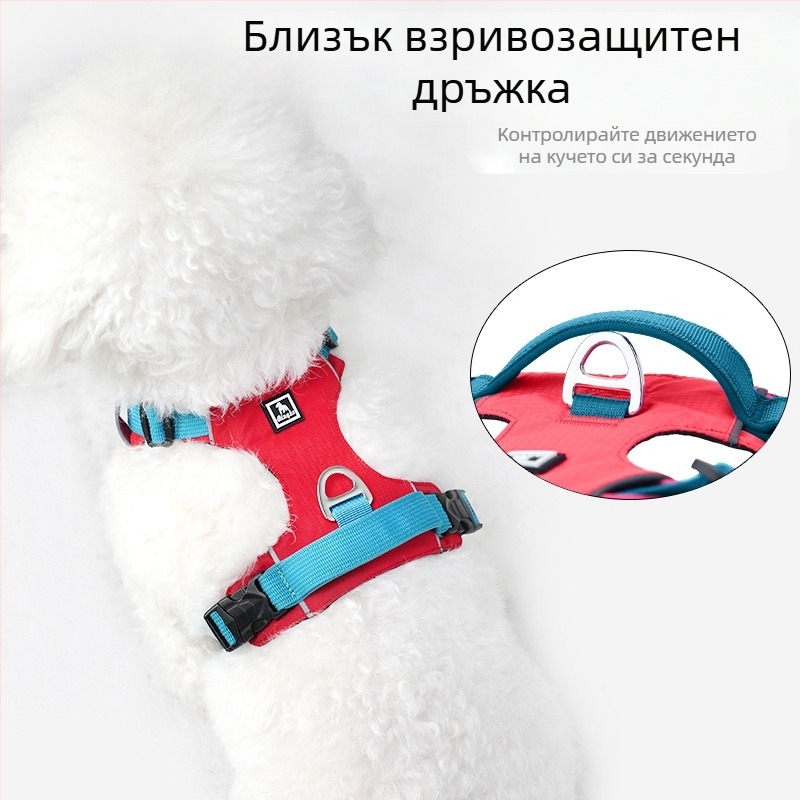 Комплект каишка и нагръдник за кучета - лек, дишащ, неразтегателен, за малки кучета, за разходки навън