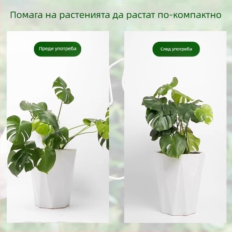 Монстера – държач за опорен прът за хидропоника и оформяне на растението