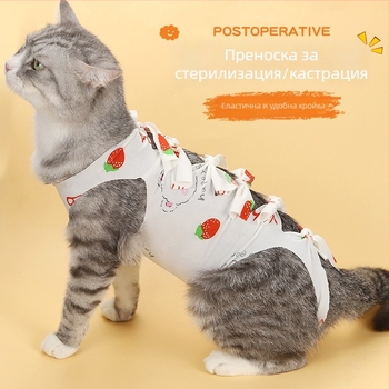 Постоперативна дреха за котки след стерилизация, защита от облизване и грижа за рани