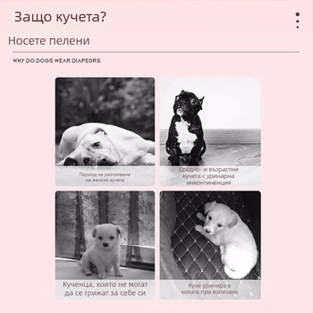 Котешки пелени за мъжки и женски котки, физиологични панталони, предпазни панталони срещу чифтосване и бременност