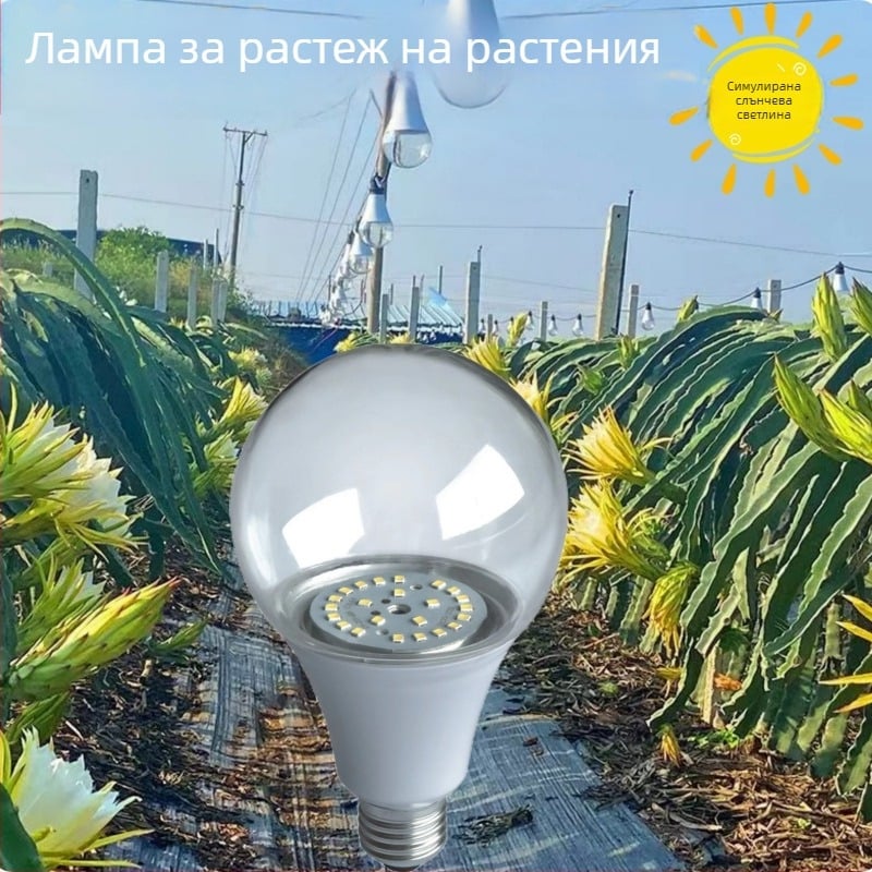 LED лампа за растеж на растения с пълен спектър, външен водоустойчив комплект за осветление на dragon fruit