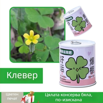 Десктоп комплект мини растения в консервена кутия със семена: слънчоглед, ягоди, домат и детелина — лесни за отглеждане, ниска поддръжка; идеален подарък за ученици и бюро.