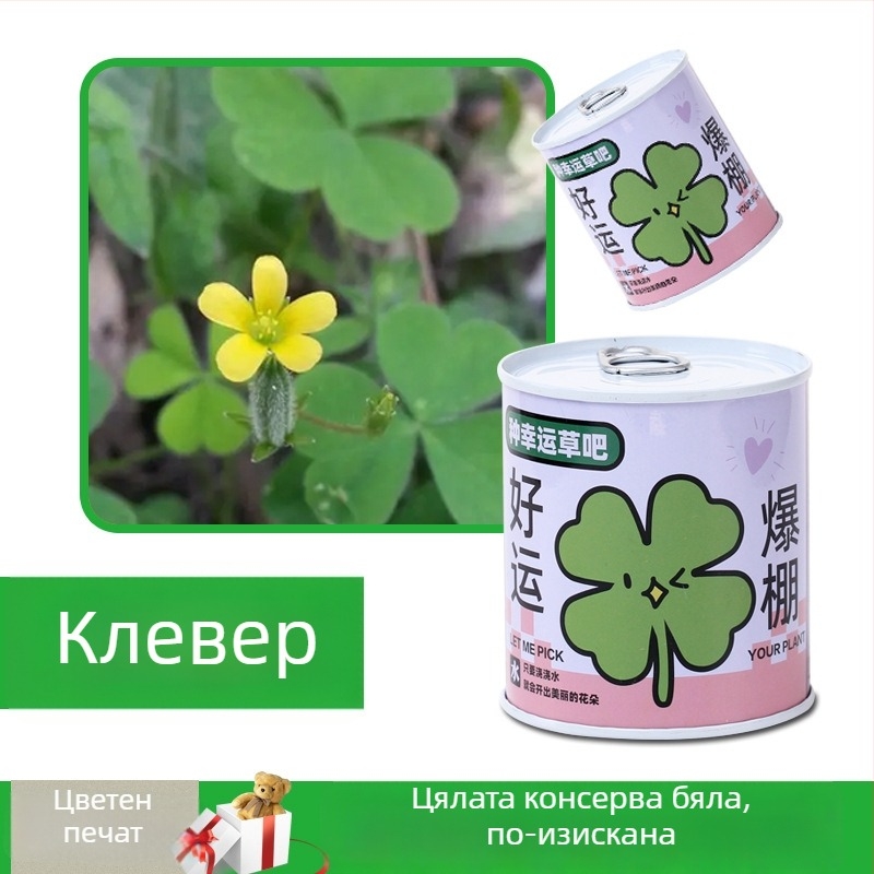 Десктоп комплект мини растения в консервена кутия със семена: слънчоглед, ягоди, домат и детелина — лесни за отглеждане, ниска поддръжка; идеален подарък за ученици и бюро.
