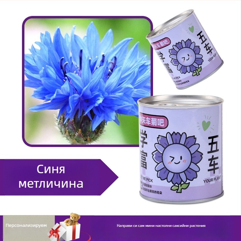 Десктоп комплект мини растения в консервена кутия със семена: слънчоглед, ягоди, домат и детелина — лесни за отглеждане, ниска поддръжка; идеален подарък за ученици и бюро.