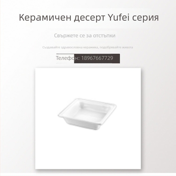 Буфетно оборудване с GN2/3 керамична плоча и двойна керамична плоча, порцелан, устойчив на високи температури